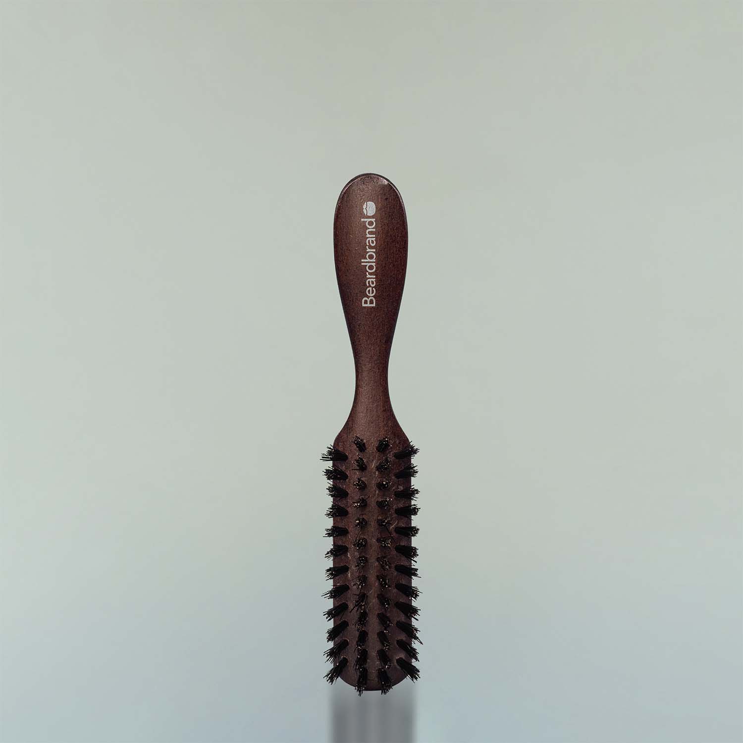 Beard Brush